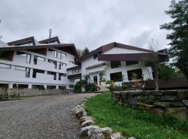 Randunica – hotel w mieście Văliug