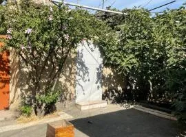 Apartment in the city center with the garden