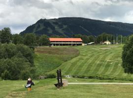 Ljusnedal lägenhet med golf, paddel, fiske och skidåkning, alquiler temporario en Ljusnedal