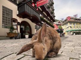 SPANNORT family home with common kitchen and self check-in, hotel a Engelberg