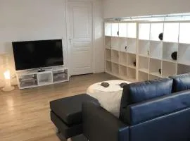Appartement charmant américain
