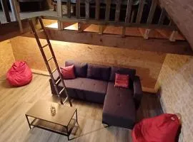 Appartement 4 à 6 places