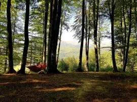 Cabana Cheia Fericirii - Forest Family Retreat