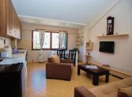 Apartament near the center of city 2