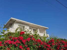 Green Villa, hotel con estacionamiento en Durrës