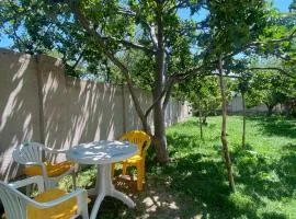 Guest House Regina