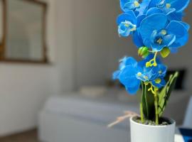 Fior di Loto Suite - Lingotto