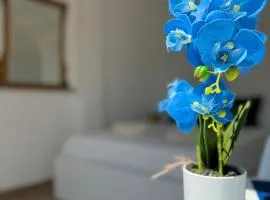 Fior di Loto Suite - Lingotto