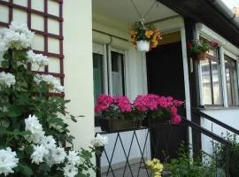 Liza Apartman