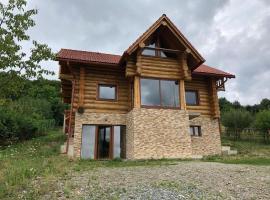 Casa din Deal, holiday home in Moldoveneşti