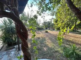 YourLittleMiracle-PanoramicView+FirePit+Garden+BBQ