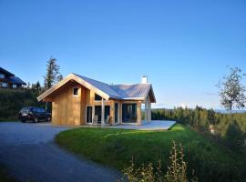 Stor og moderne hytte med panoramautsikt, maison de vacances à Liagardane