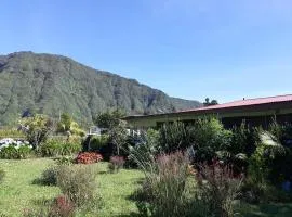 Le Clos des Mimosas
