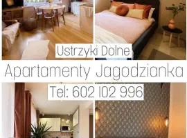 Apartamenty Jagodzianka - Jacuzzi i Sauna