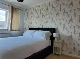 APNI HOMES!