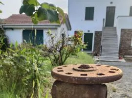 Casa Bartola