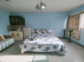 Lively Impact C3-C9