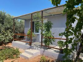 Vine Veranda, apartment in Palaiochora