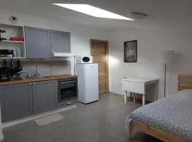 Studio mezzanine tout confort