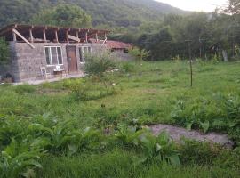ონის რაიონი სოფელი ზუდალი, hotel v destinaci Nigvznara