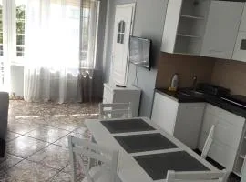 Apartamenty i Pokoje Biala Hortensja