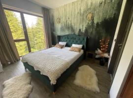 Luxury Silver Mountain Apartment, hotel em Poiana Brasov