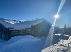 TRYSIL - Koselig norsk fjellhytte ที่พักให้เช่าในNybergsund