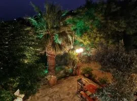 SPITIKARIOTIKO My Ikarian home
