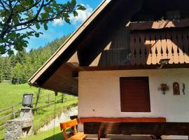 A Window to the Alps, koča v mestu Jesenice