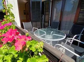 Apartman Lalatovic Sokobanja