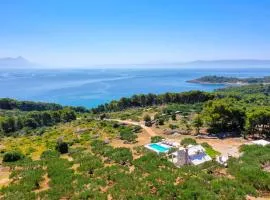 Unique villa in olive field with salted swimming pool-Villa Frida