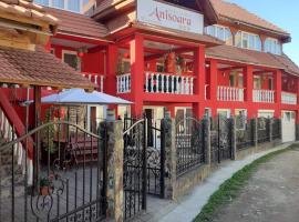 Pensiunea Anisoara, hostal o pensión en Chişcău