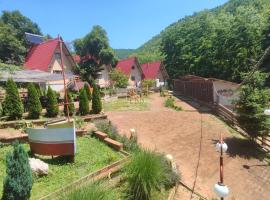 Etno selo Vile Jefimija, selo Preobrazenje, Vranje, pet-friendly hotel in Vranje