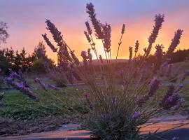 Lavender Row Farm, familiehotel i Outram