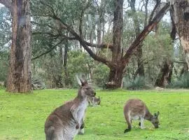 La cachette bushland hideaway