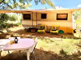 Caravan on the beach, pet friendly, hotel in Corbu