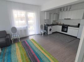 meda's apartament, жилье с кухней во Флорешты