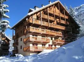 Apartment on the slopes in the big ski area Grandes Rousses