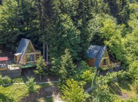 Forest House, hotel with parking in Dandalo