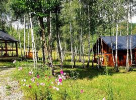 Cabana cu Mesteceni, hotel Máramarosszigeten