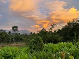 Granja Integral Luz Del Corazon