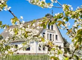 Cityappartement am Kirschberg