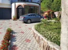 DIOSKURIA BORJOMi