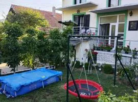 Snezana home