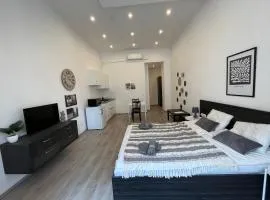 D58 Superior Apartments in the city center