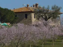 Agriturismo Il Sassolino