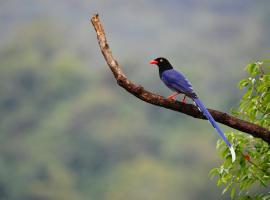 Hotel Indigo Alishan by IHG, hotell i Fanlu