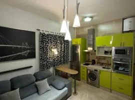 fantastic apartament the center