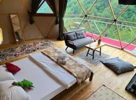 North Dome & Suite