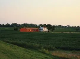 Agriturismo Ca' Pisani